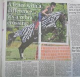 The Irish Daily Mail