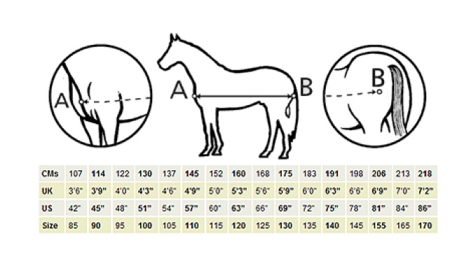 Bucas's Guide to Measuring your Horse - a guide to finding the right size horse rug for your horse