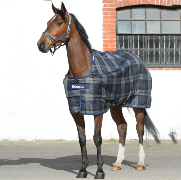 Celtic Stable Medium - Factory Seconds - a medium weight stable rug for winter