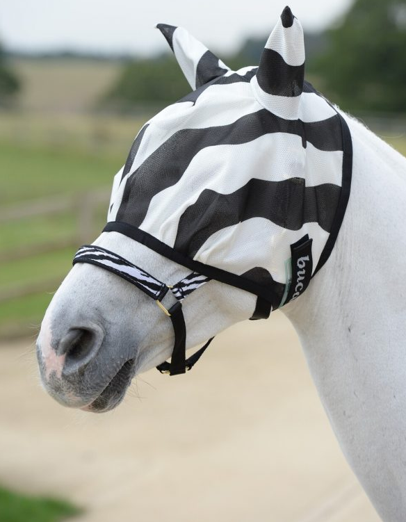 Buzz-Off Zebra Fly Mask - Factory Seconds - a zebra striped fly mask with ears,suitable for ponies, horses & cobs