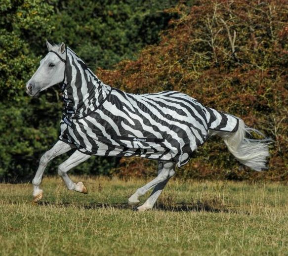 Buzz-Off Zebra Full-Neck - Factory Seconds - a Zebra print horse fly rug. fly mesh fabric does not let even tiny biting insects through