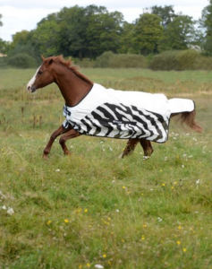 Buzz-off Rain Zebra - factory seconds - discounts waterproof fly rug for horses