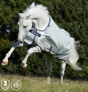 Choosing the right horse rug for winter weather - the Power Turnout is an excellent choice.