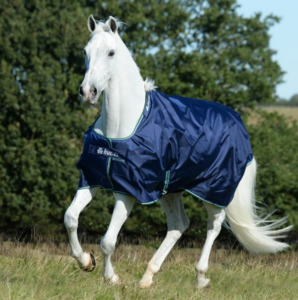 Choosing the Right Horse Rug - Bucas Smartex Turnout