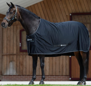 Power Cooler - Factory Seconds - a light weight cooler rug that wicks away sweat from your horse