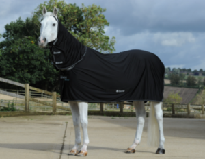Power Cooler Full Neck - Factory Seconds - full neck cooler rug with stay-dry wicking qualities
