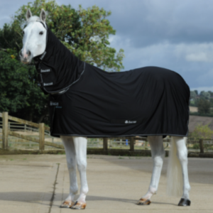 Power Cooler Full Neck - Factory Seconds - full neck cooler rug with stay-dry wicking qualities