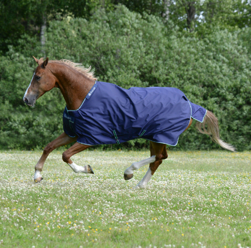 Smartex Rain Factory Seconds - Blue - robust and durable premium range horse rug