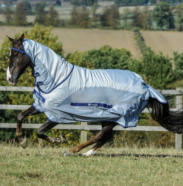Buzz-off Rain Full Neck - Factory Seconds - Fly rug with added rain protection