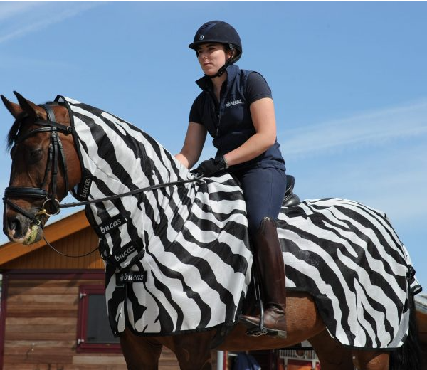Fly rug for riding with neck piece and zebra stripes