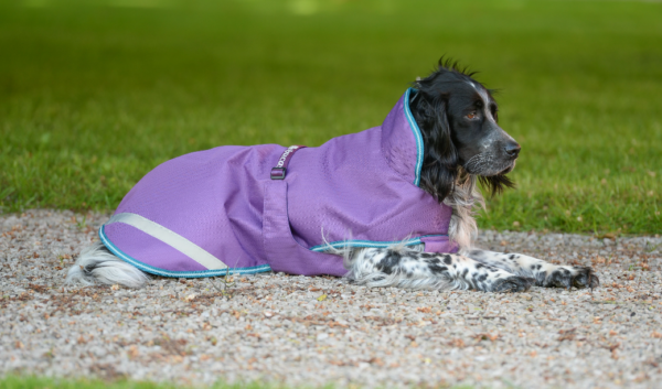 Freedom Dog Rug 50g - Spring_Summer 2023 Colours_Green Violet - 50g of insulation in a waterproof and breathable dog coat