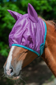 Freedom Fly Mask - Spring_Summer 2023 Limited Edition Colours - Violet