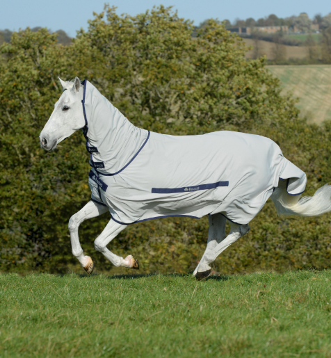 Sweet-Itch - Factory Seconds - a fly rug for horses that suffer from sweet itch