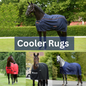 Cooler Rugs