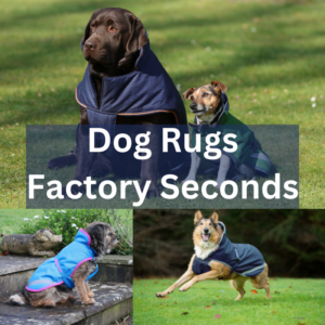 Bucas Dog Products - Factory Seconds