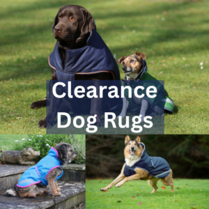 Clearance - Dog Rugs