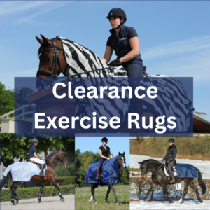 Clearance - Exercise Rugs