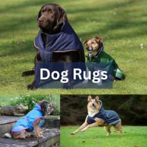 Dog Rugs
