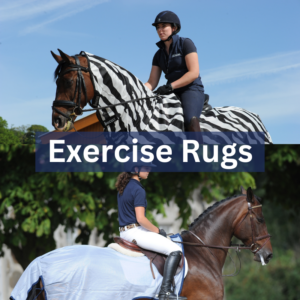 Exercise Rugs - Fly Protection