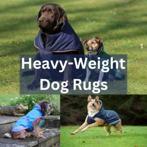 Heavy-Weight Dog Rugs