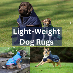 Light-Weight - Dog Rugs