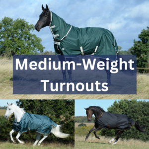 Medium-Weight Clearance Turnouts