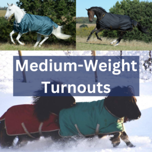 Pony Medium-Weight Turnouts