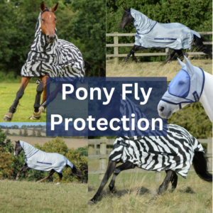 Pony Fly Protection