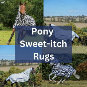 Pony Sweet-itch Rugs