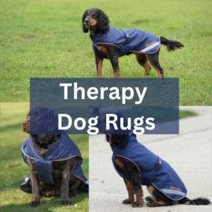 Therapy Dog Rugs
