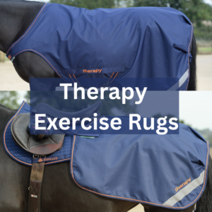 Therapy Exercise Rugs