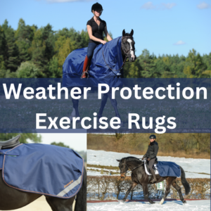 Weather Protection - Exercise Rugs