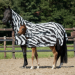 Fly Sheet for horse & foal